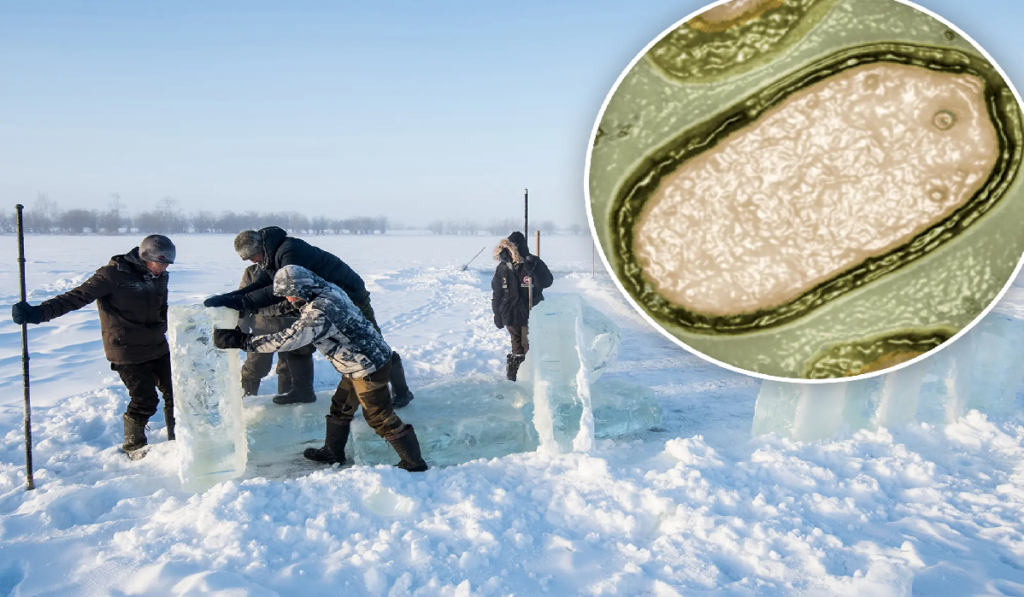 Zombie Virus: The newly discovered threat from Siberian