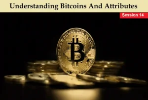 Understanding Bitcoins