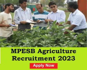 MPESB Agriculture Recruitment 2023